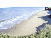 Our beach stretching 
	for miles