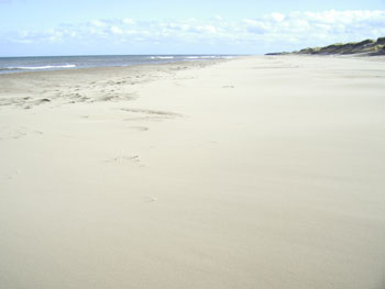 Our Soft Sand Beach
